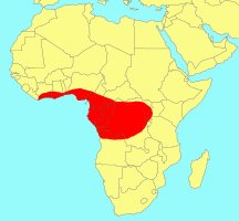 ../../../Distribution_of_Ficus_artocarpoides