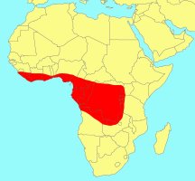 Distribution_of_Ficus_barteri