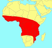 Distribution_of_Ficus_bubu