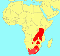 Distribution_of_Ficus_burkei