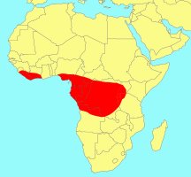 Distribution_of_Ficus_conraui