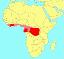 Distribution_of_Ficus_cyathistipuloides