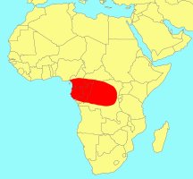 Distribution_of_Ficus_dryepondtiana