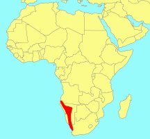 Distribution_of_Ficus_ilicina