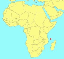Ficus karthalensis Distribution