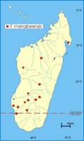 Distribution_of_Ficus_menabeensis