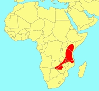 Distribution_of_Ficus_nigropunctata