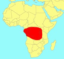 Distribution_of_Ficus_persicifolia