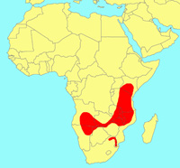 Distribution_of_Ficus_petersii