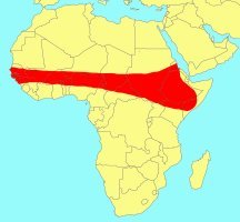 Distribution_of_Ficus_platyphylla