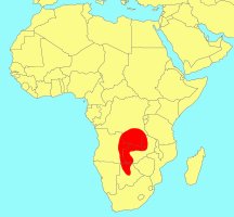 Distribution_of_Ficus_pygmaea
