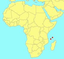 Distribution_of_Ficus_reflexa_aldabrensis