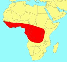 Distribution_of_Ficus_sansibarica_macrosperma