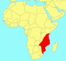 Distribution_of_Ficus_sansibarica_sansibarica
