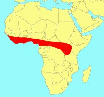 Distribution_of_Ficus_saussureana