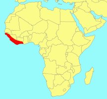 Distribution_Ficus_scott-elliotii