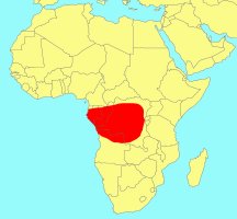 Distribution_of_Ficus_subcostata