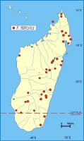 Distribution_of_Ficus_tiliifolia