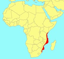 Distribution_of_Ficus_tremula_tremula