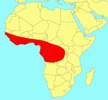 Distribution_of_Ficus_umbellata