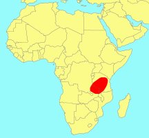 Distribution_of_Ficus_usambarensis