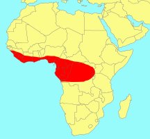 Distribution_of_Ficus_vogeliana