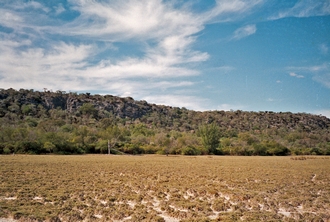 92.05.14 habitat of F. humbertii lac Tsimanampetsotsa Zachariades