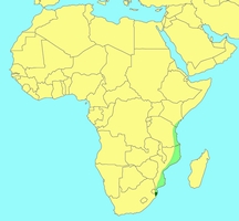 Distribution_of_Courtella_wardi