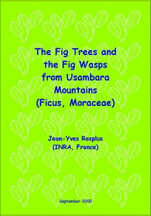 Usambara (Tanzania) fig trees and fig wasps