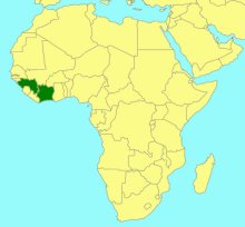 Elisabethiella pectinata_map