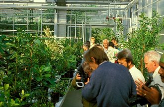 Nowegian_arboretum