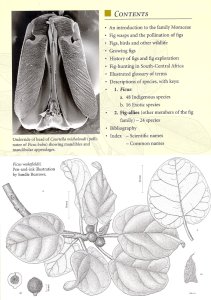 New_fig_book